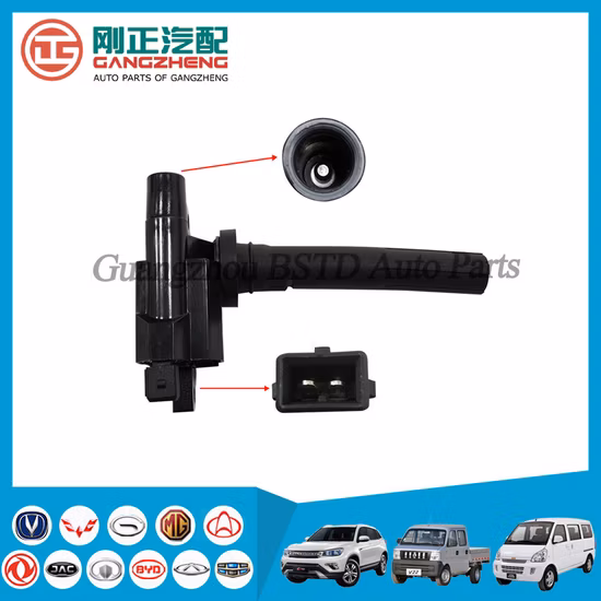 Катушки зажигания автозапчастей для DFSK K07 (3705102)