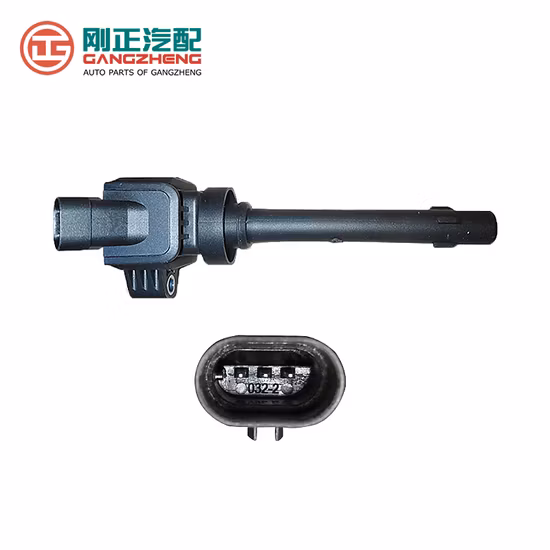 Катушки зажигания автозапчастей для Dongfeng Fengguang 580 (F01R00A160)