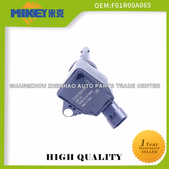 Катушка зажигания автозапчастей высшего качества для Byd G6 Byd Fast Sharp 1,5t Byd Song/Byd G6 New F3 Qin S6 Sirui G5 S7 Fast Sharp 1,5t 476 OEM: Foir00A065